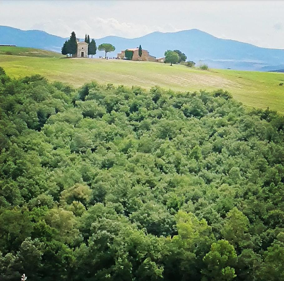 Affittacamere Alba Fiorita Castiglione dʼOrcia Exterior foto