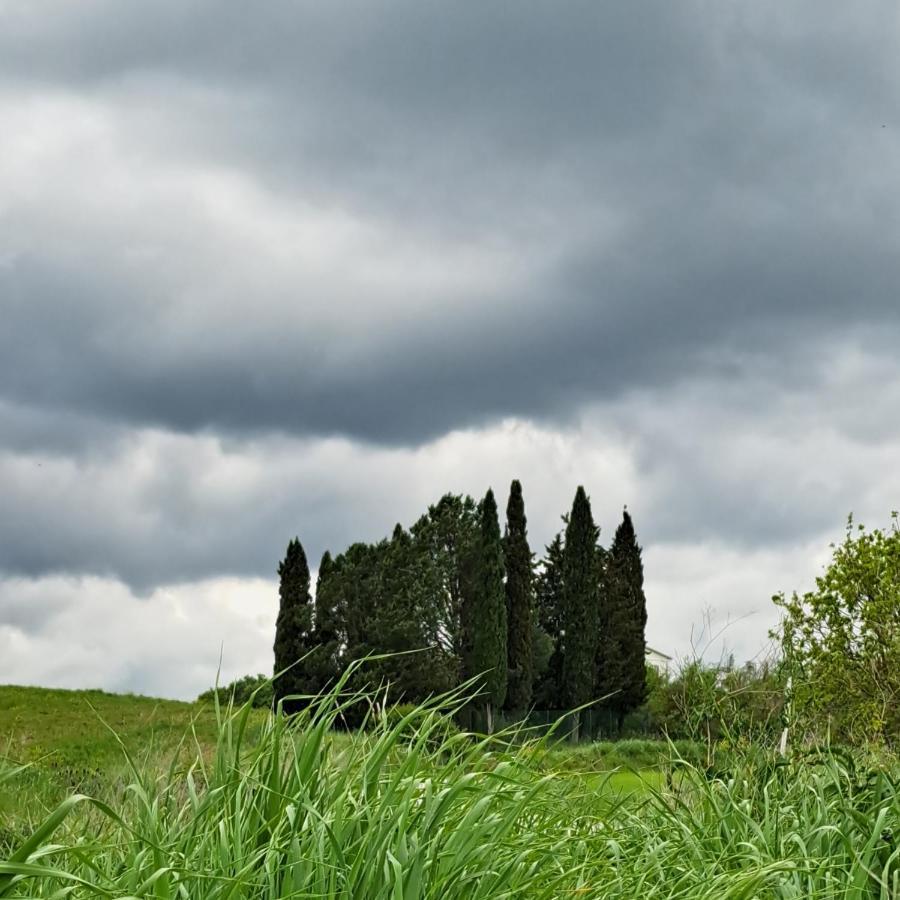 Affittacamere Alba Fiorita Castiglione dʼOrcia Exterior foto